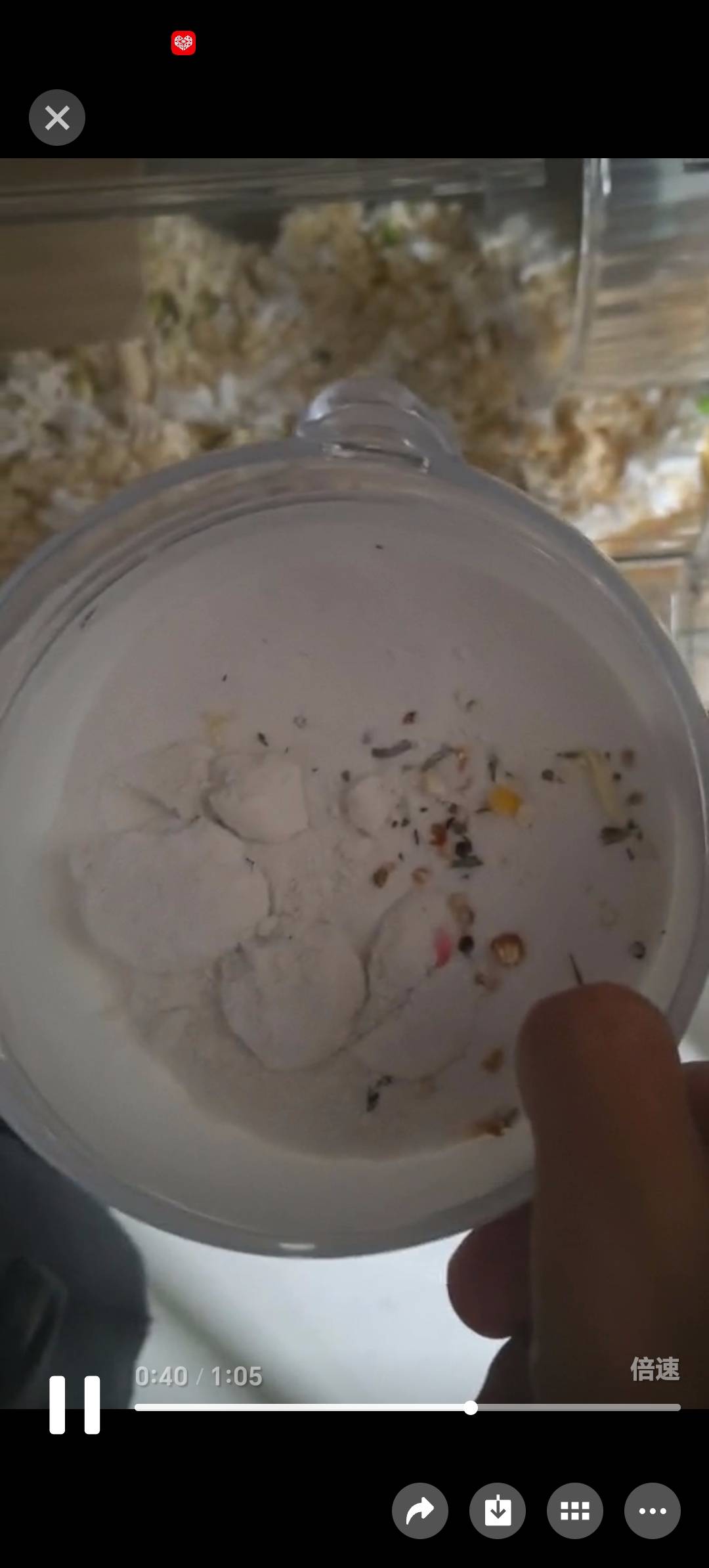 症状描述图片