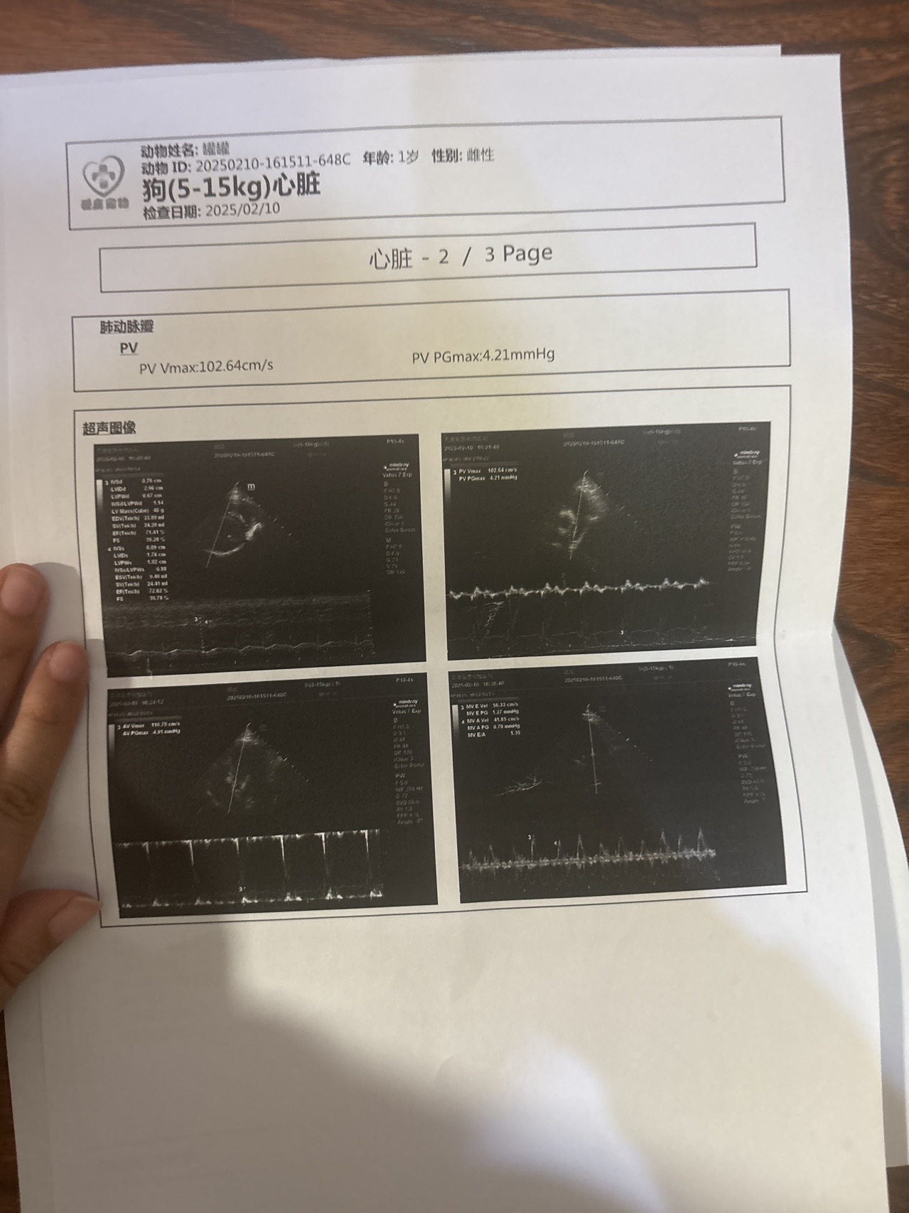 症状描述图片