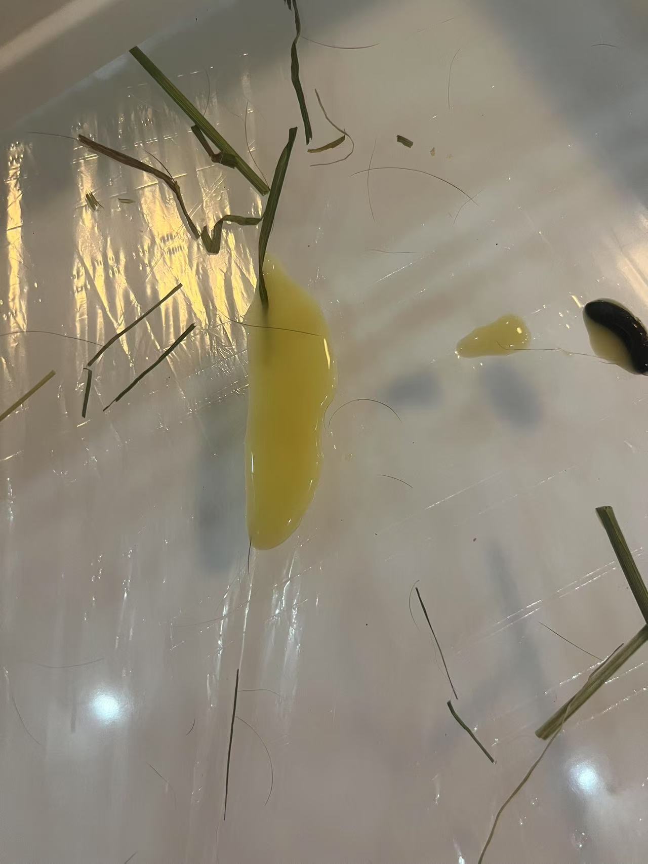 症状描述图片