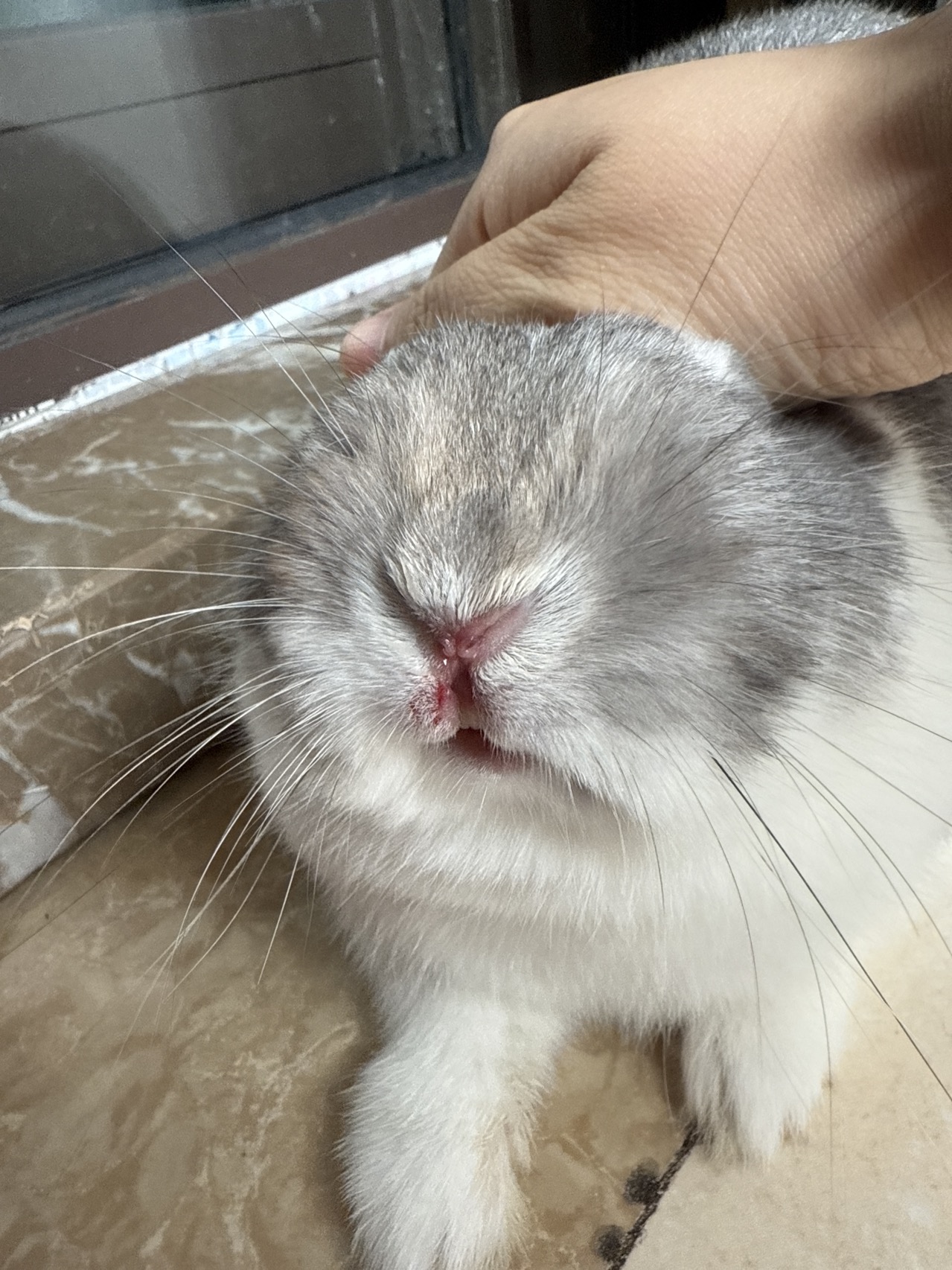 症状描述图片