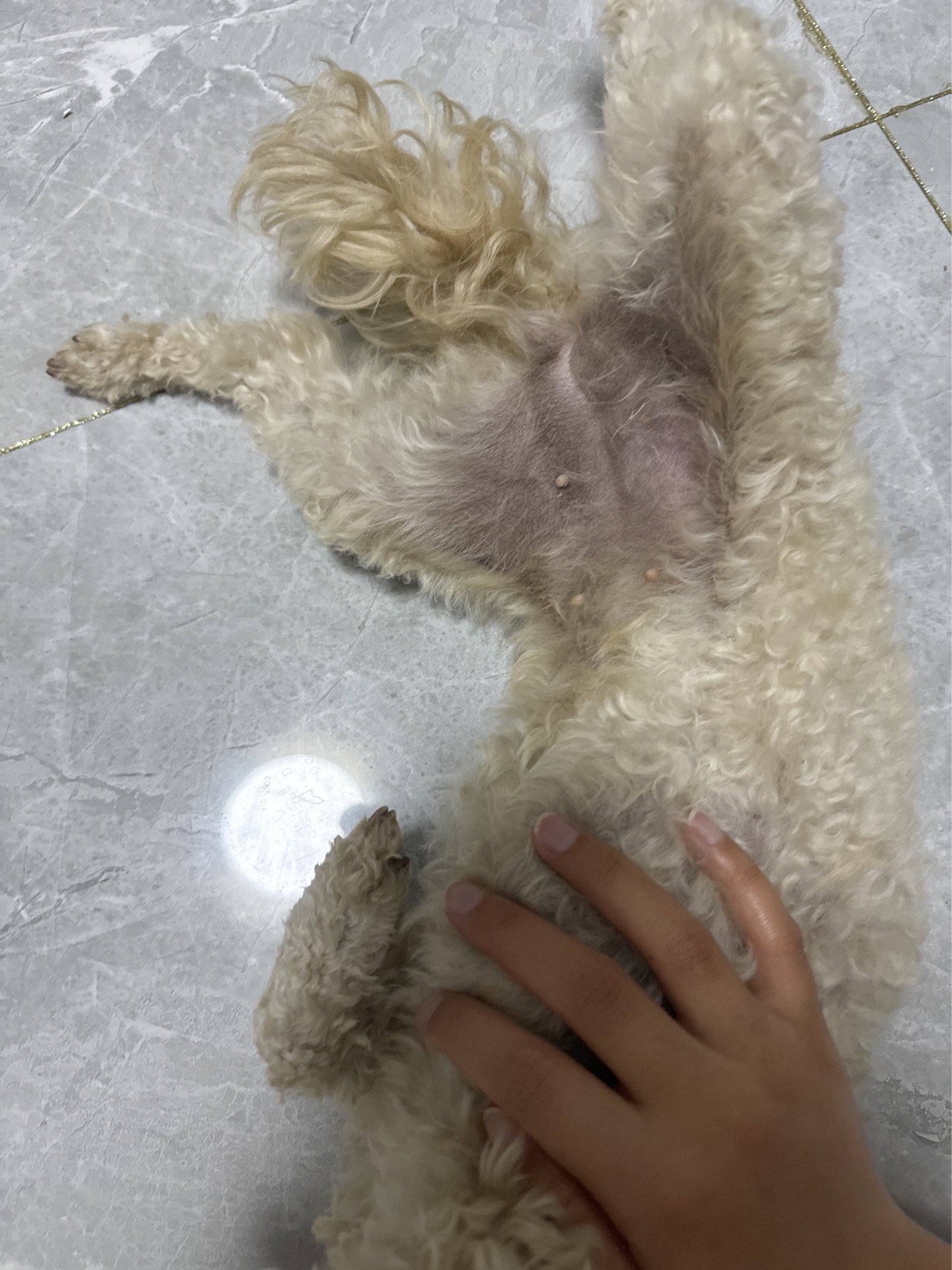 症状描述图片
