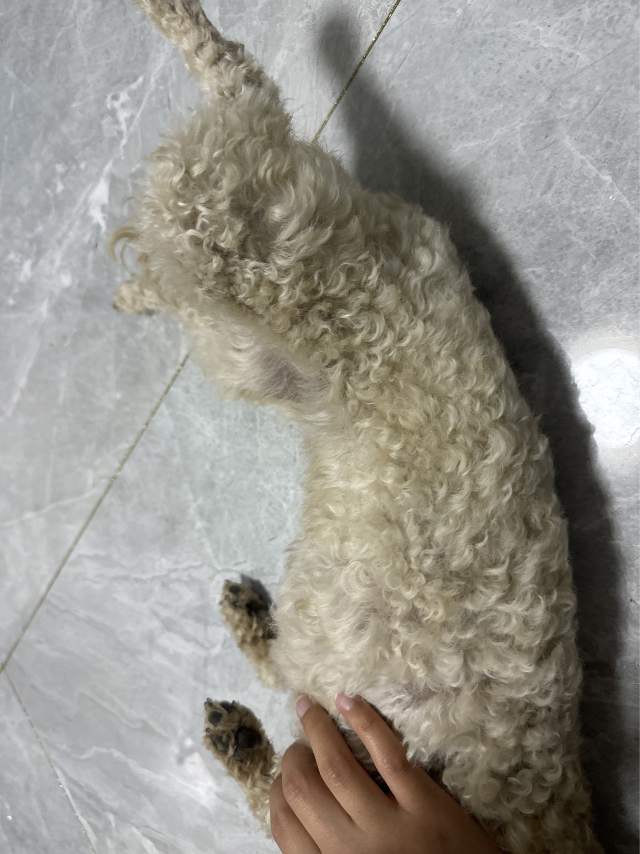 症状描述图片