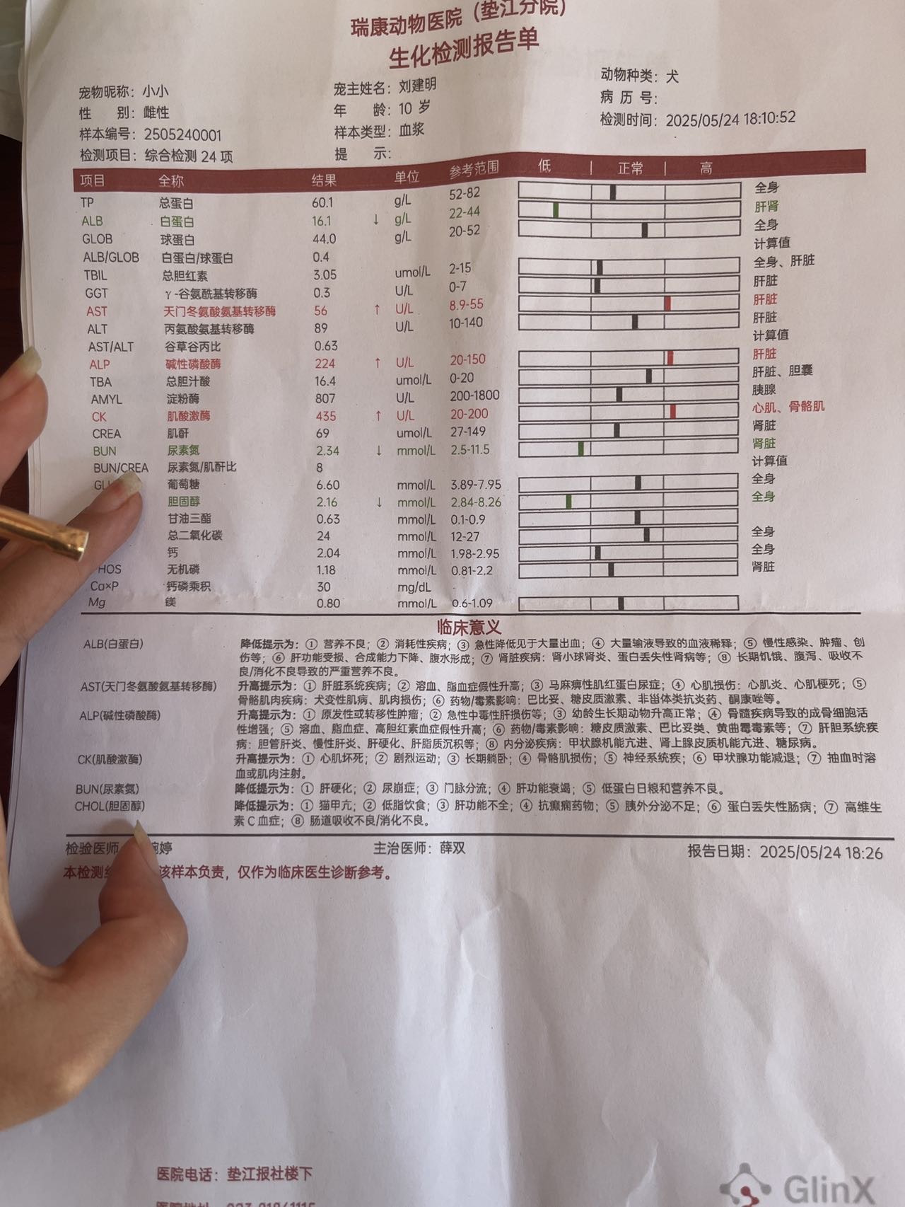 症状描述图片