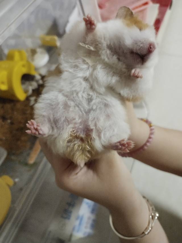 症状描述图片