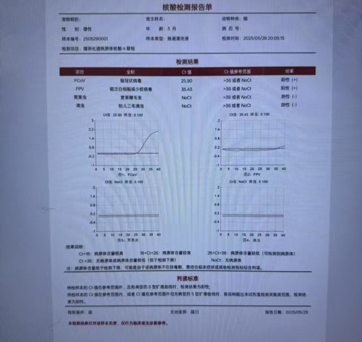 症状描述图片