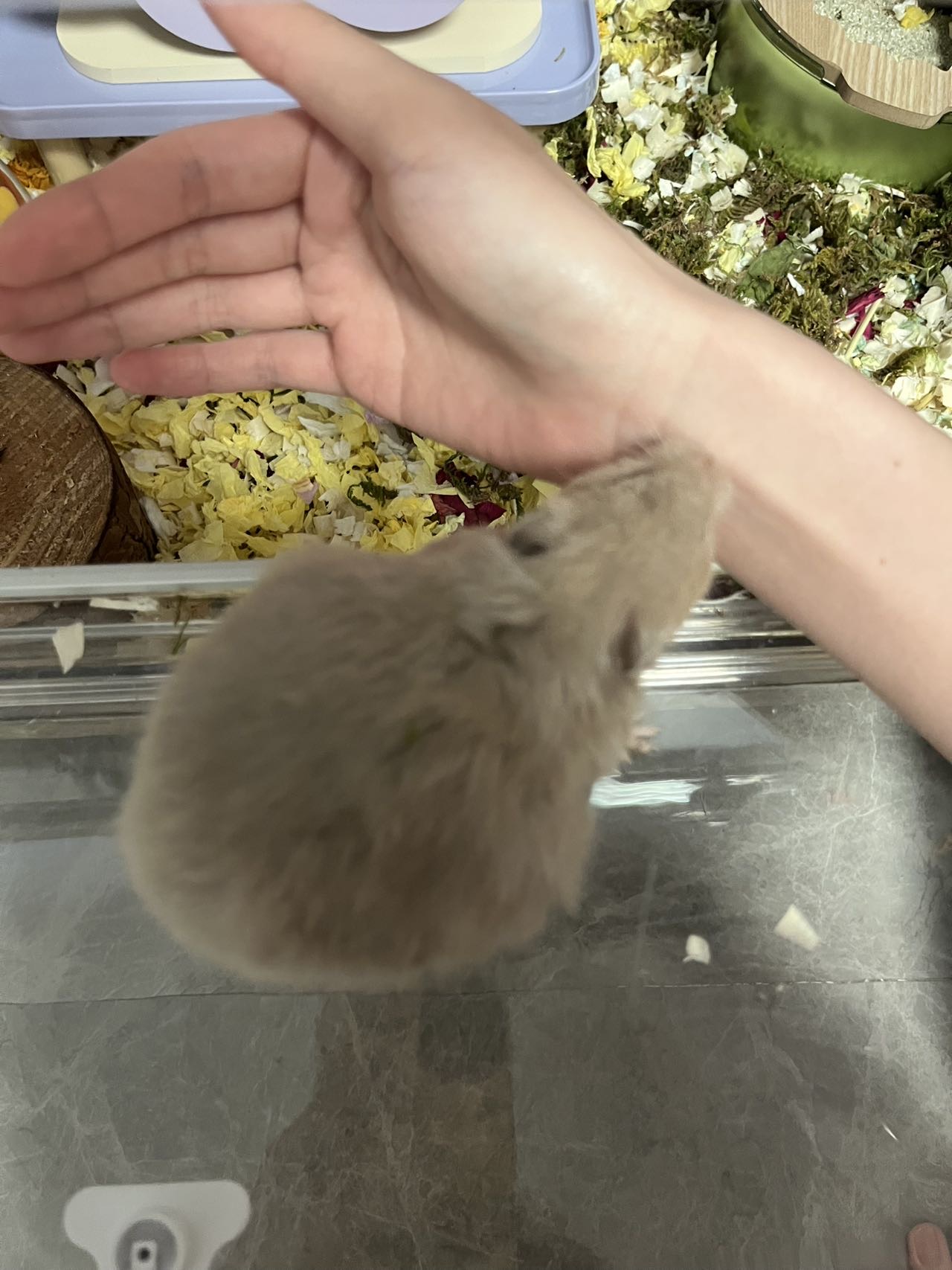 症状描述图片