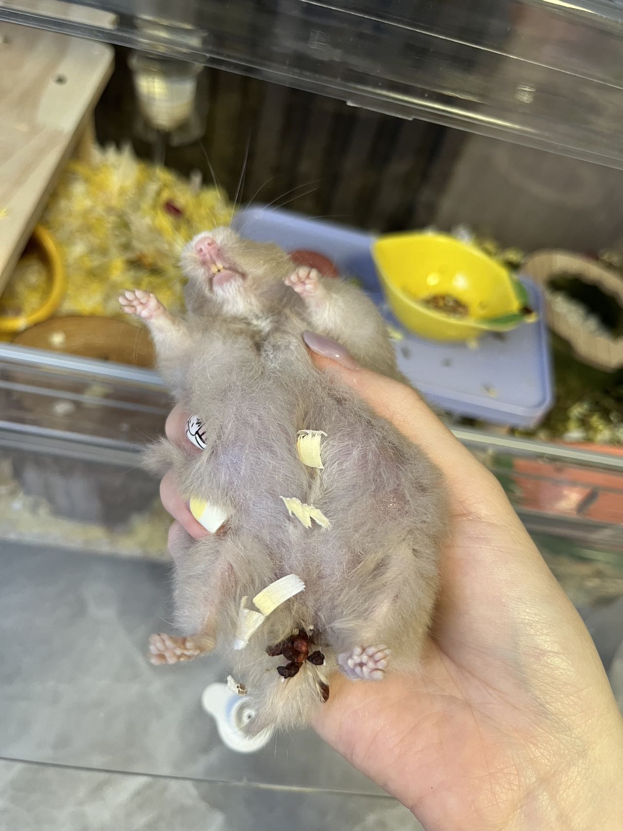 症状描述图片