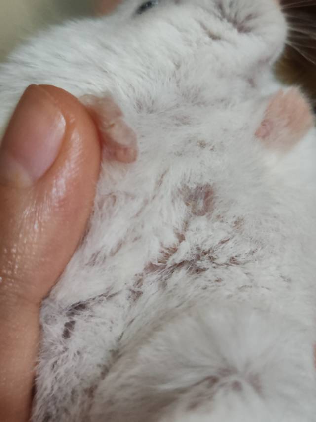 症状描述图片