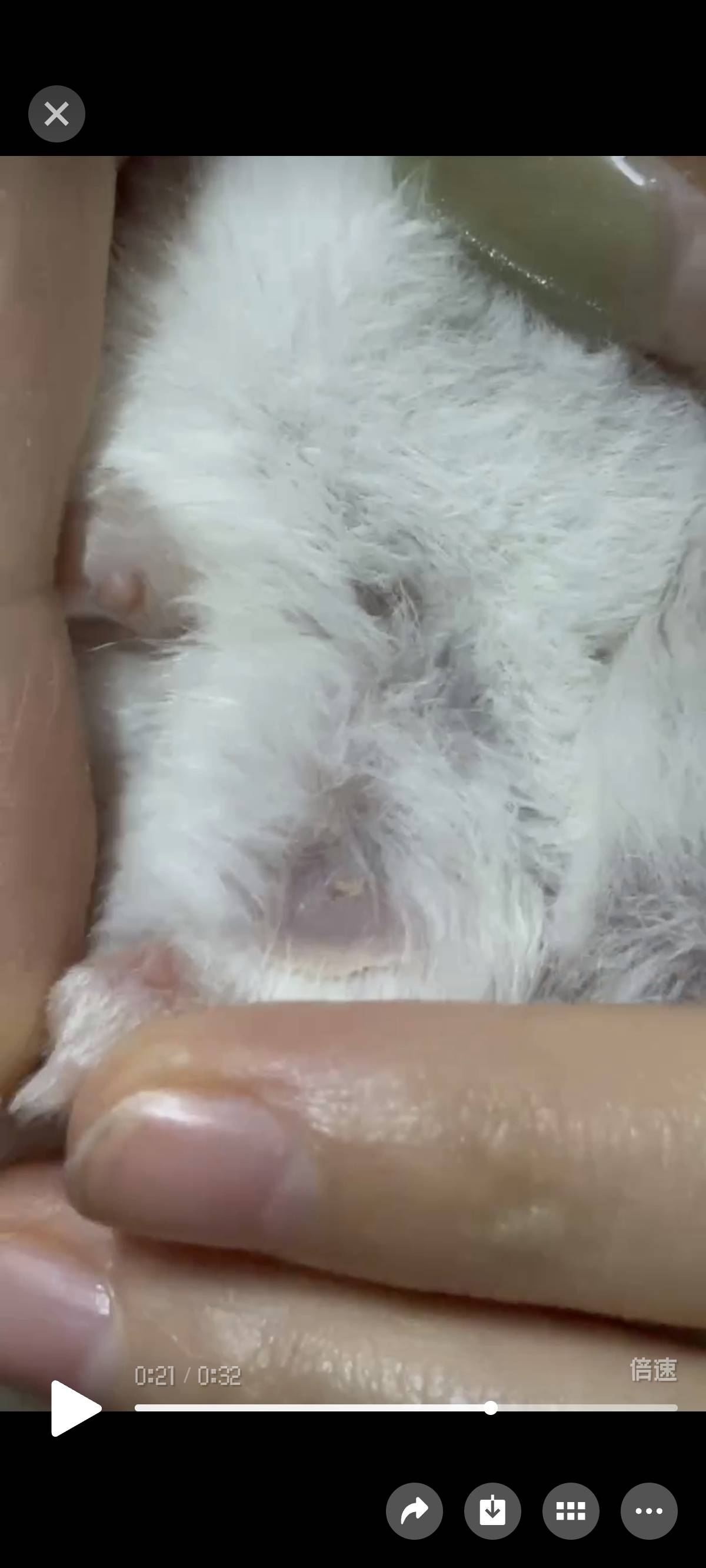 症状描述图片
