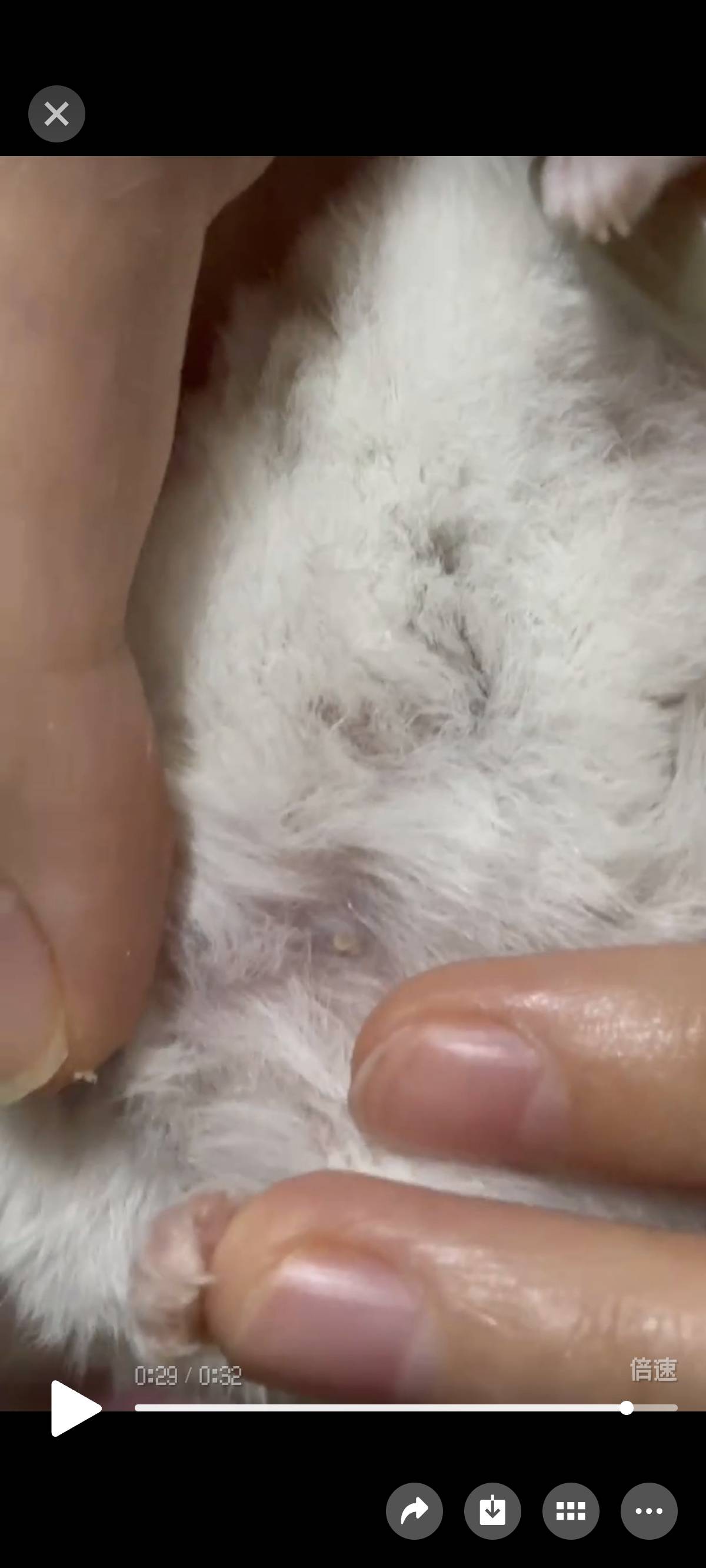 症状描述图片