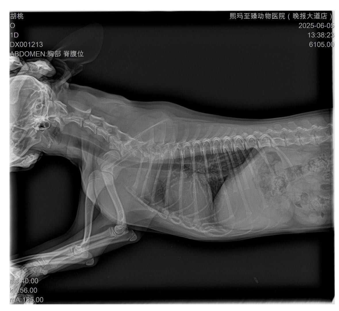 症状描述图片