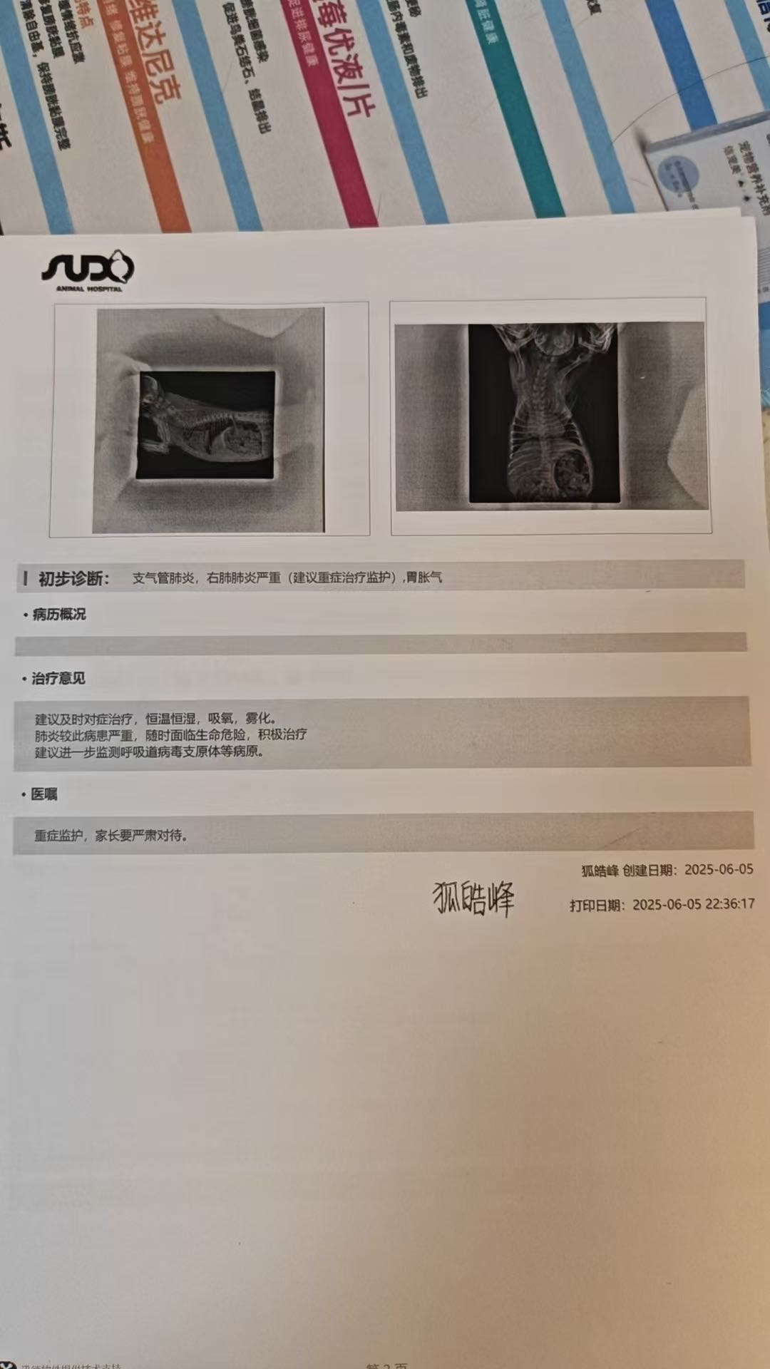 症状描述图片