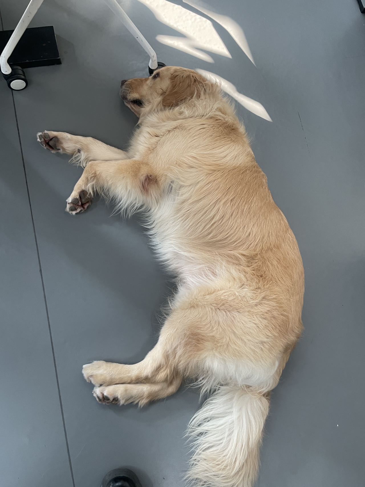 症状描述图片