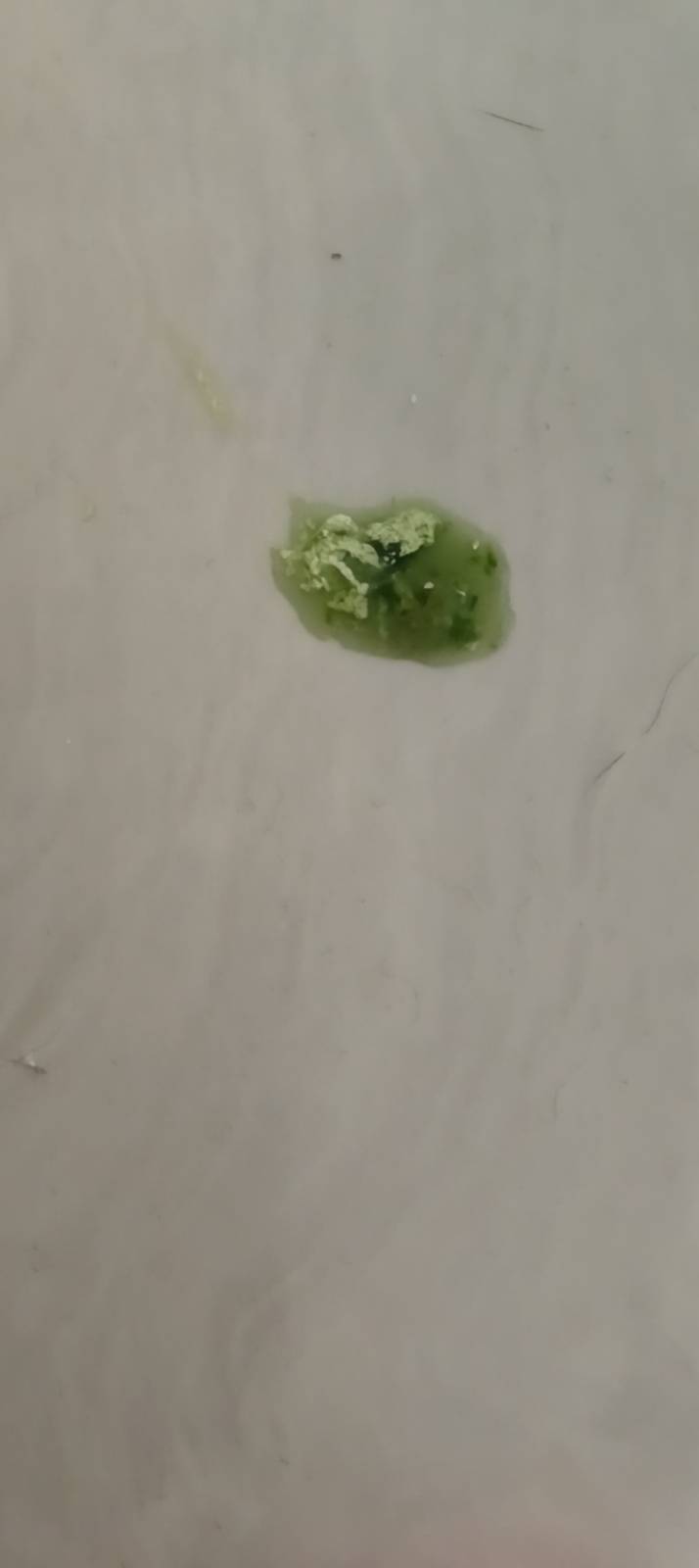 症状描述图片