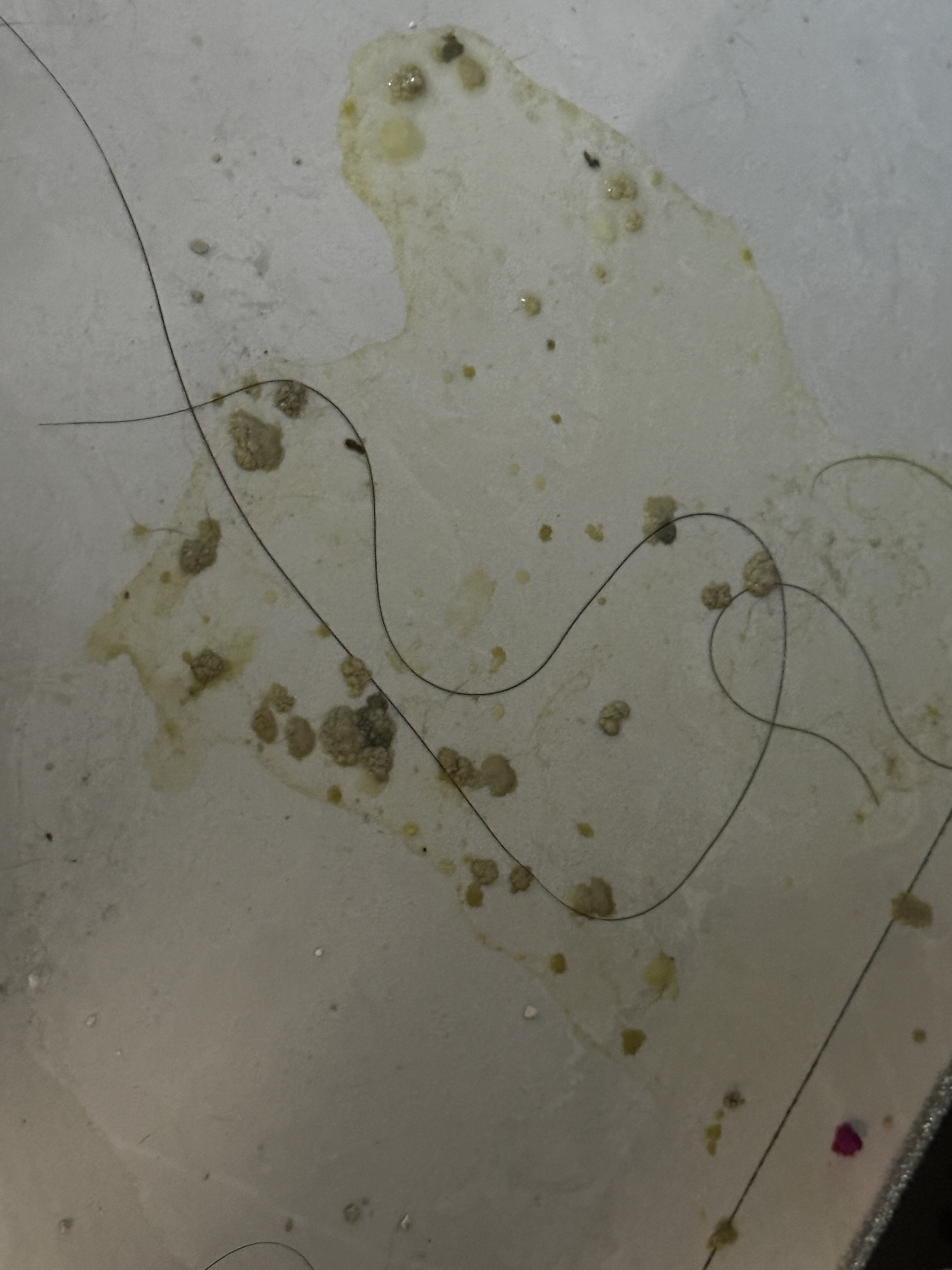 症状描述图片