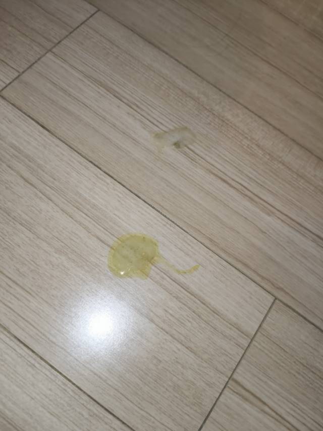 症状描述图片