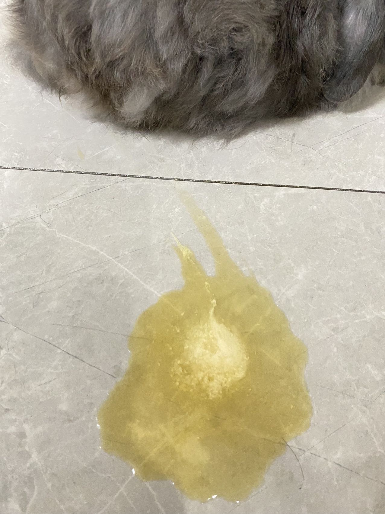 症状描述图片