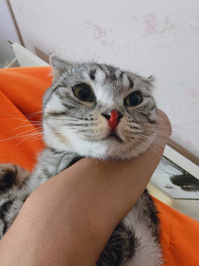 症状描述图片