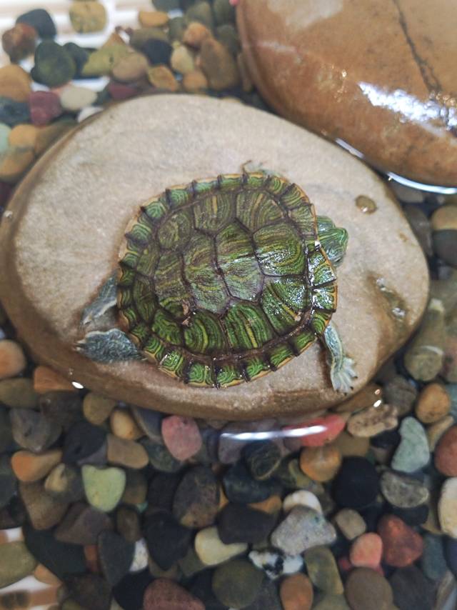 症状描述图片