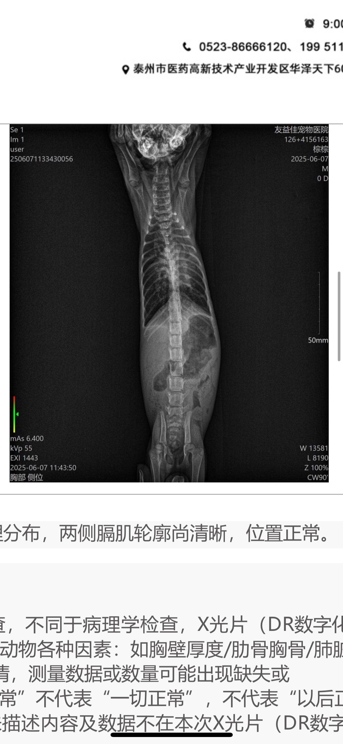 症状描述图片