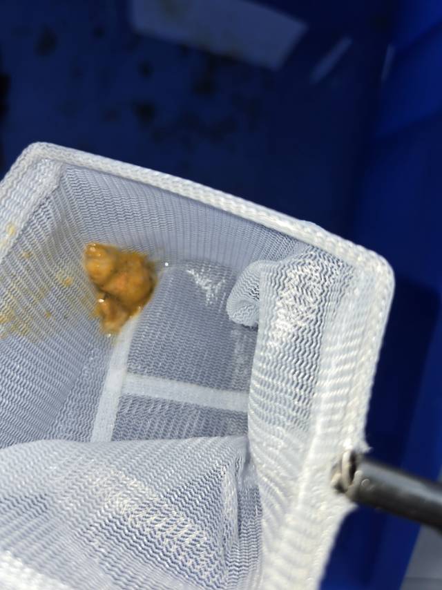 症状描述图片