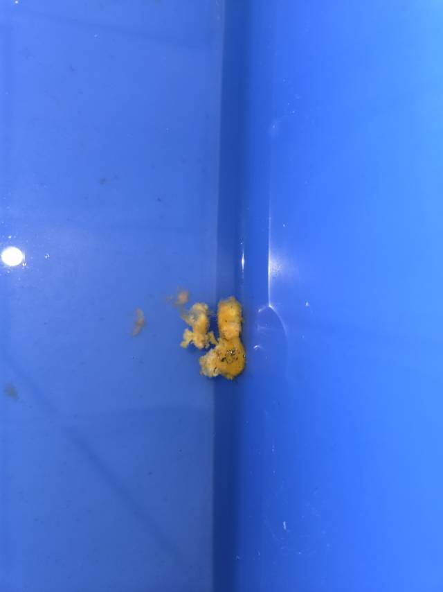 症状描述图片