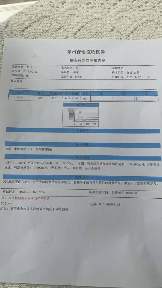 症状描述图片