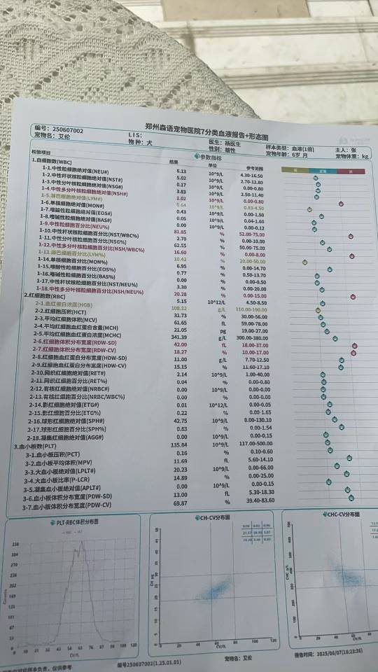 症状描述图片