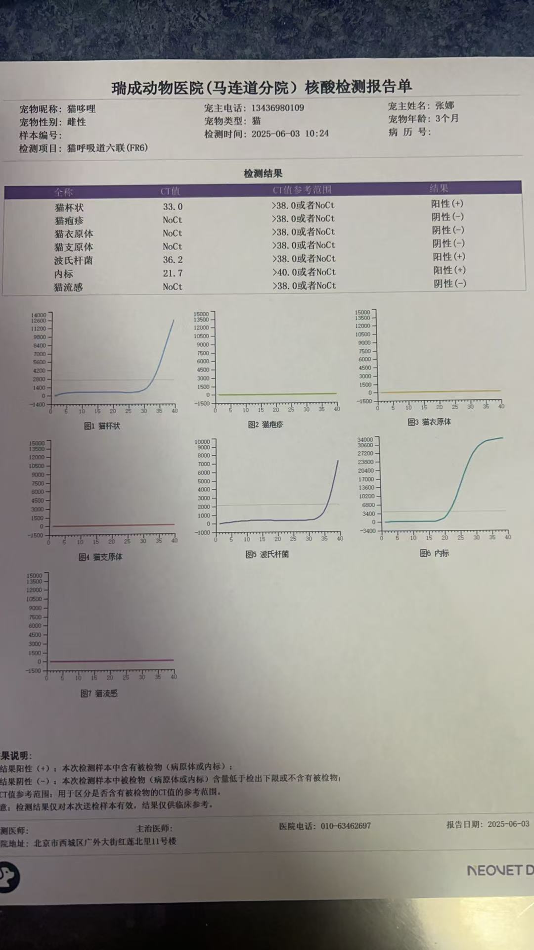 症状描述图片