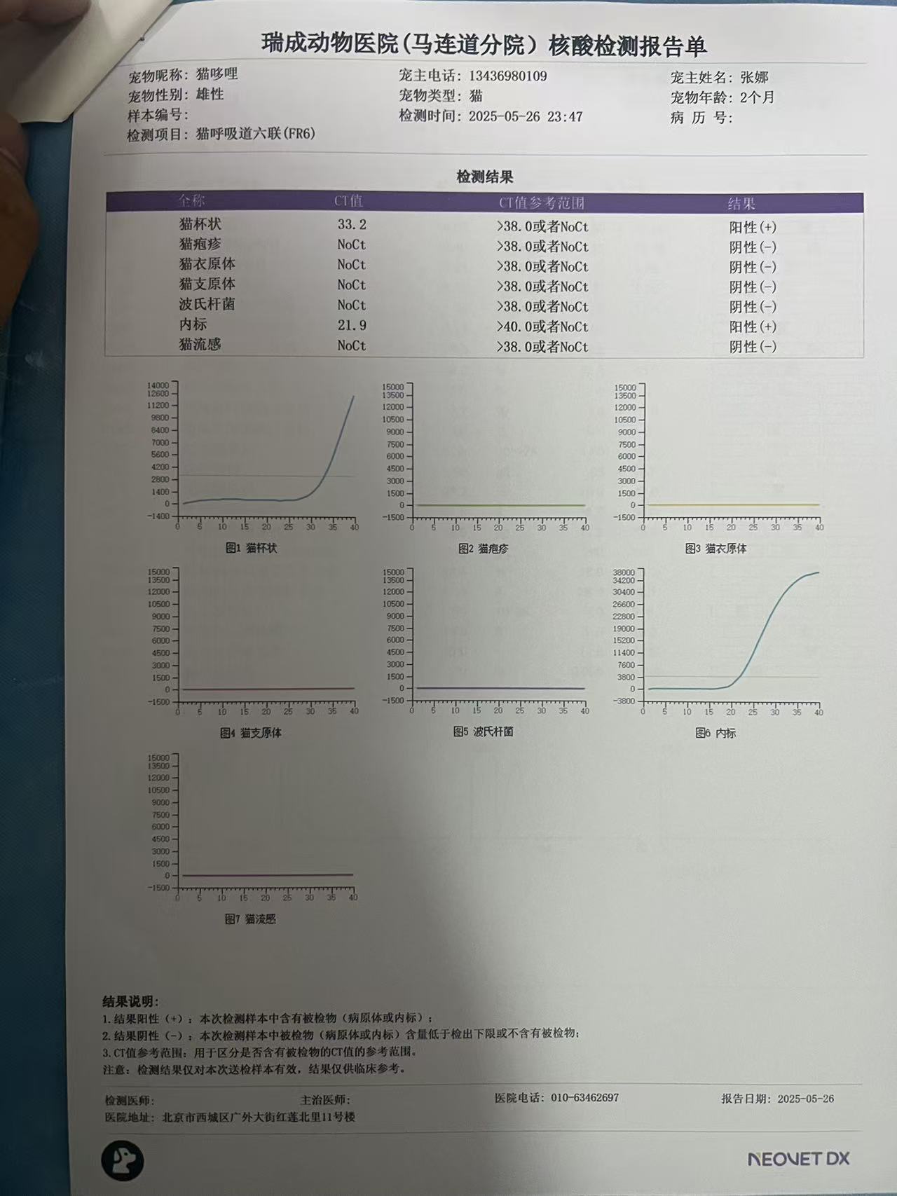 症状描述图片