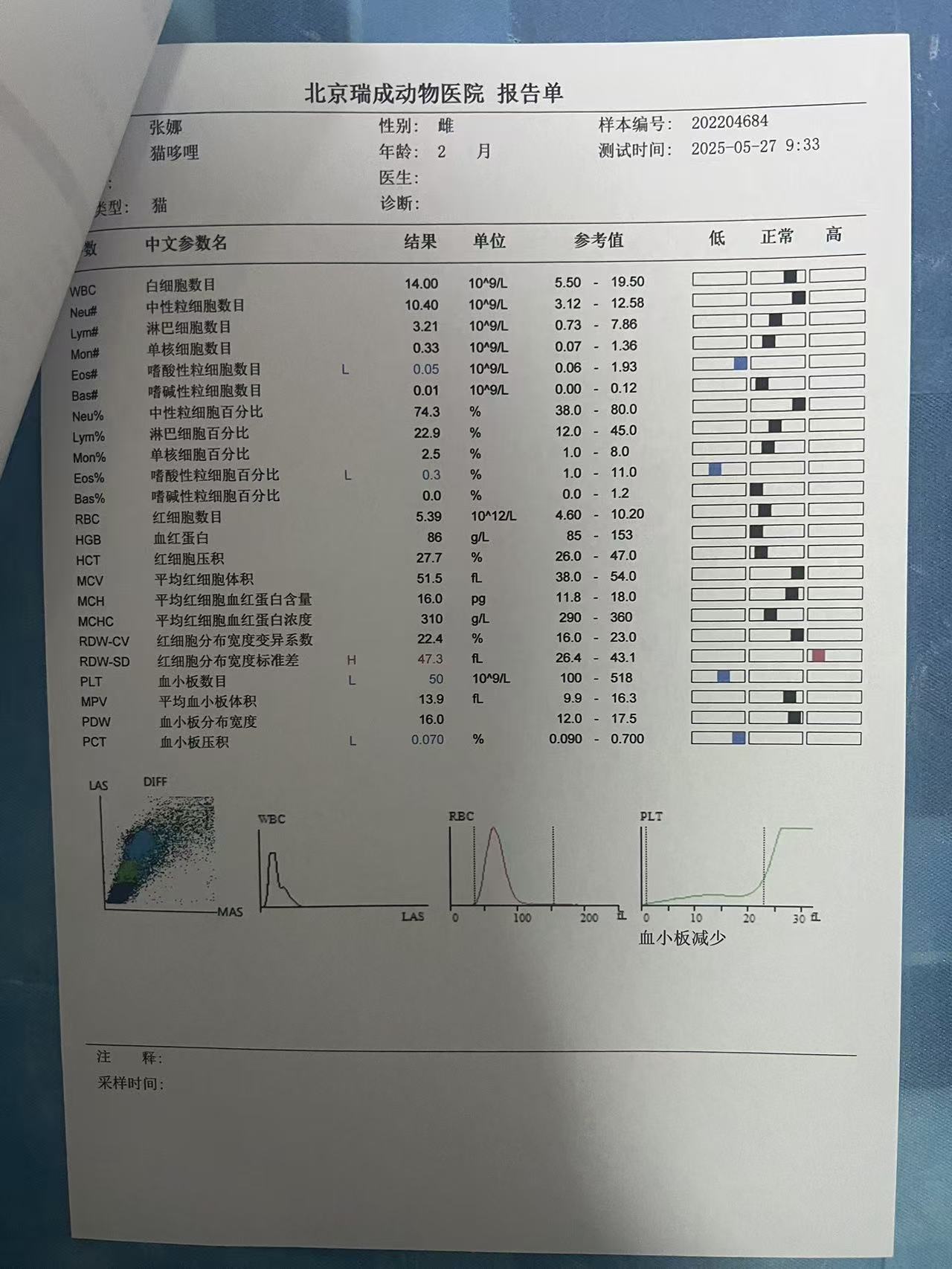 症状描述图片