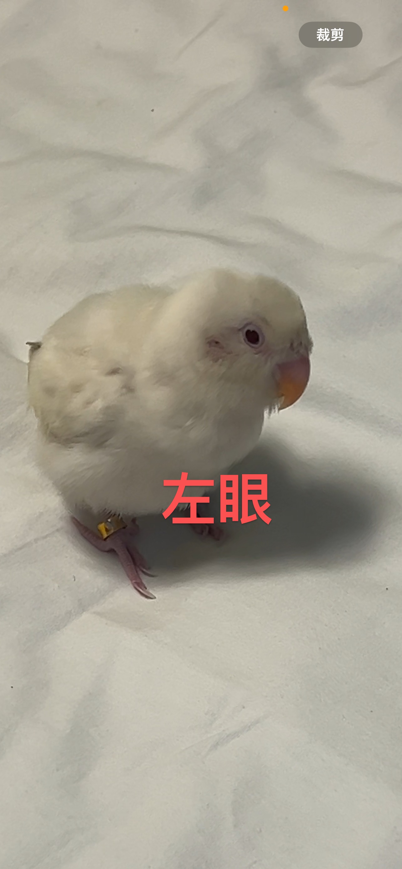 症状描述图片