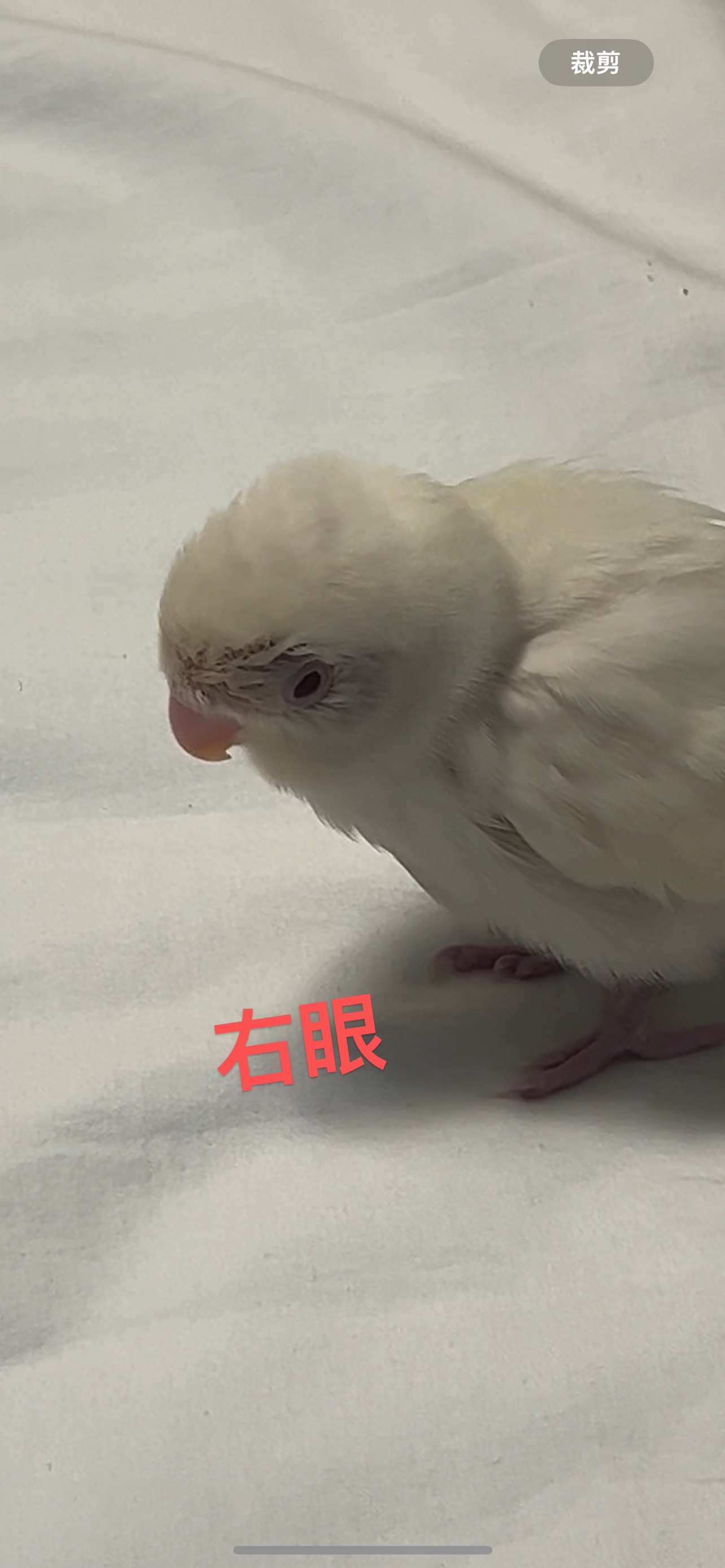 症状描述图片