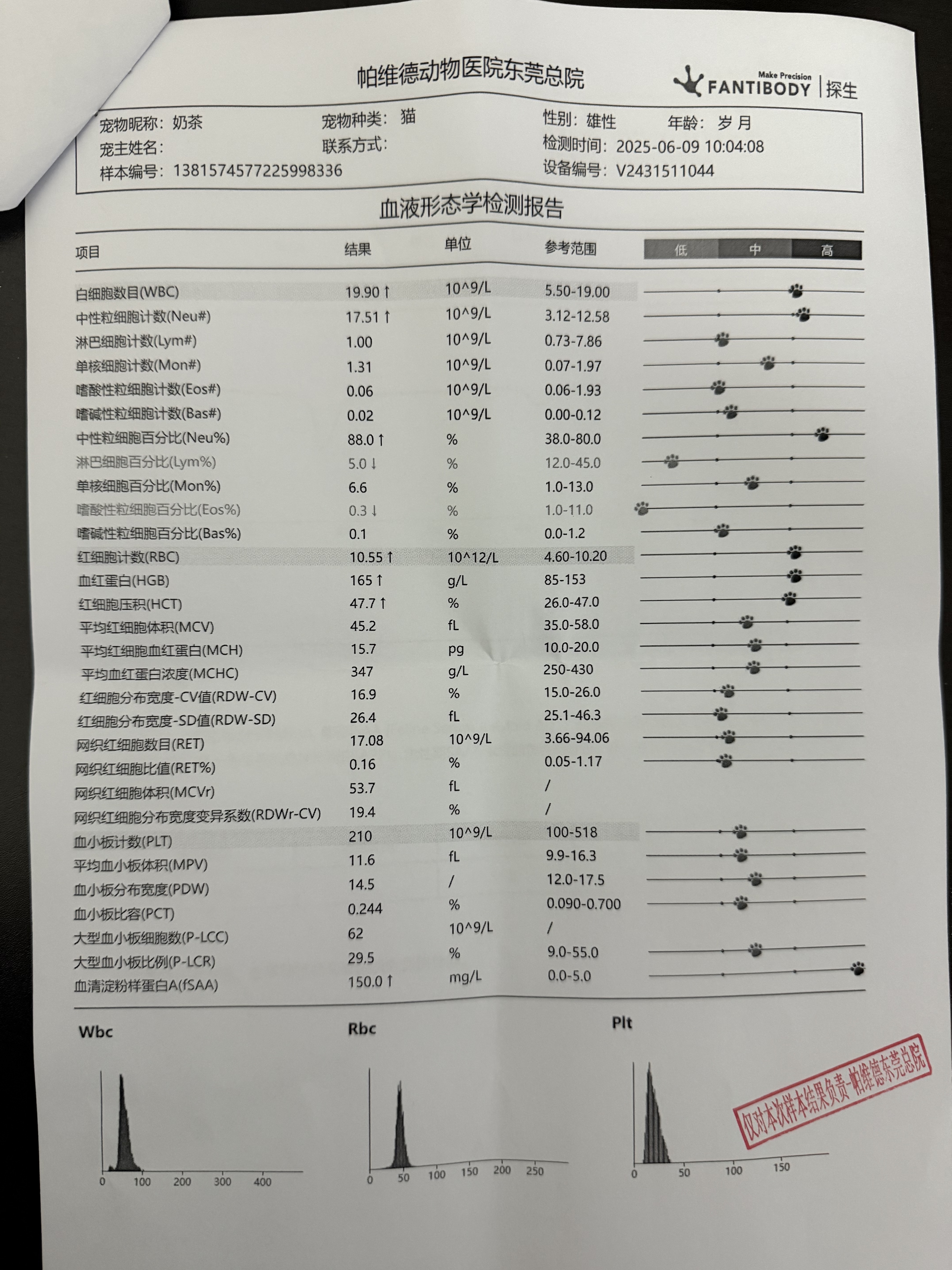 症状描述图片