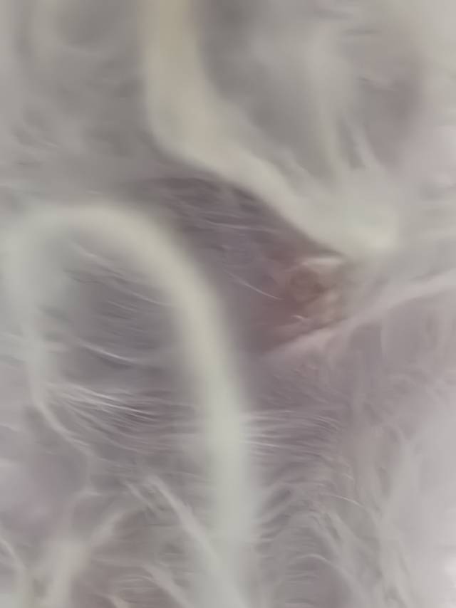 症状描述图片
