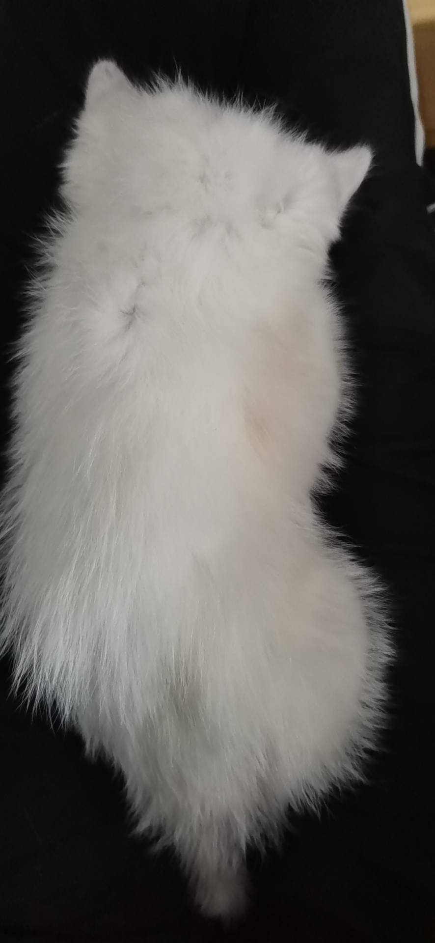 症状描述图片