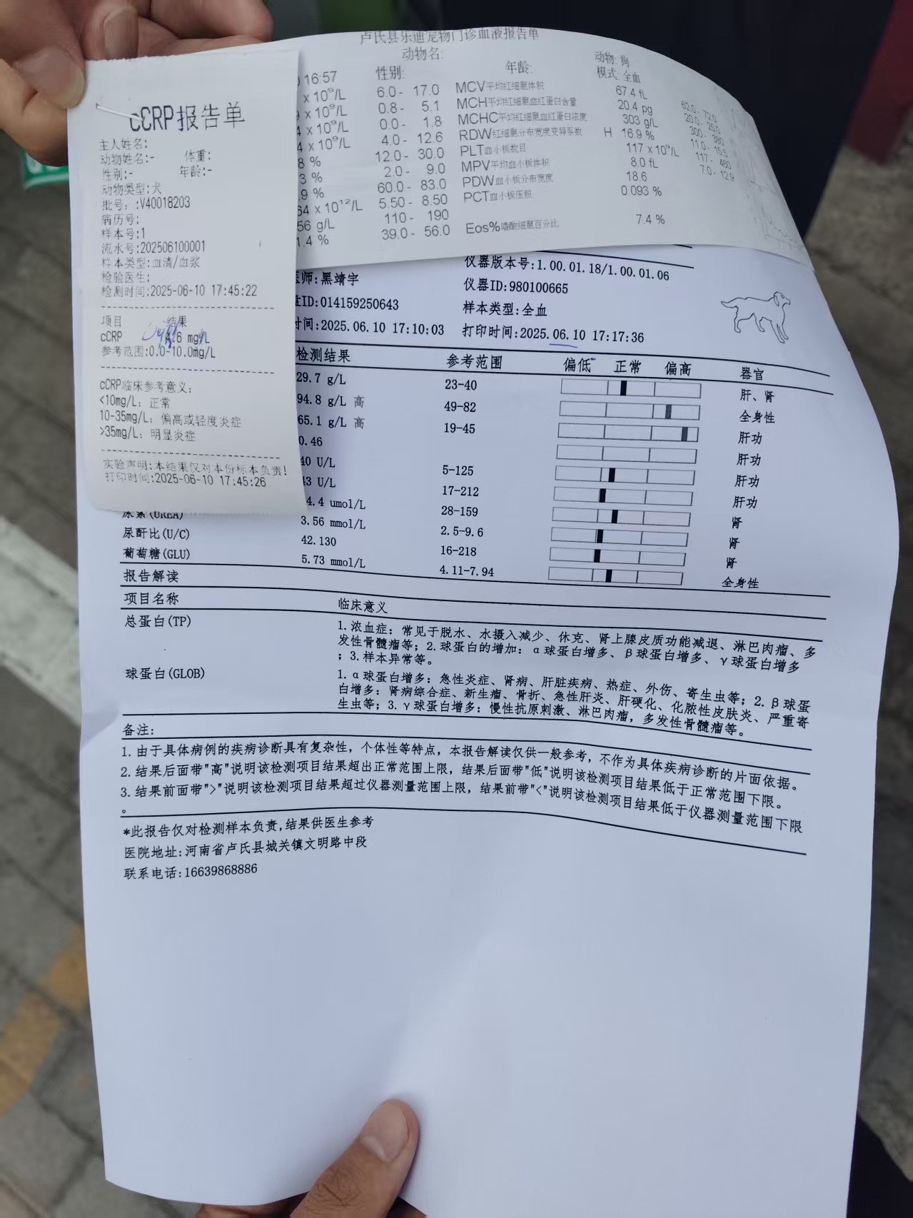 症状描述图片