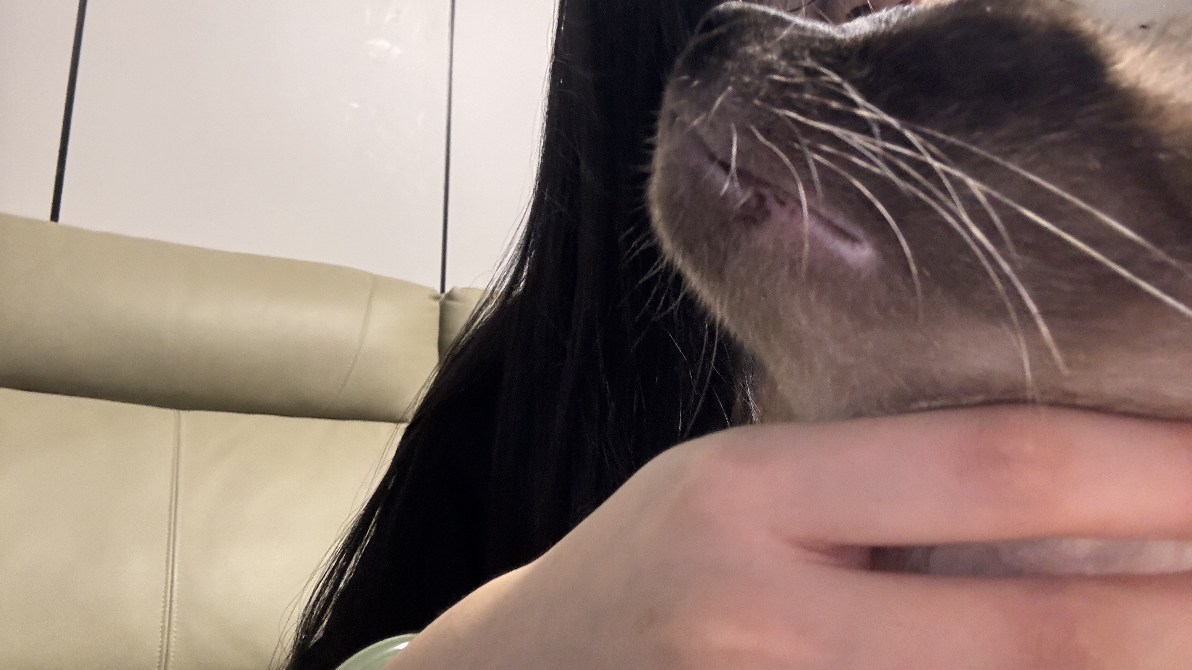 症状描述图片