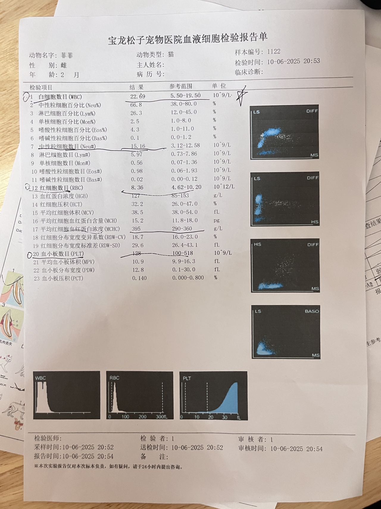 症状描述图片