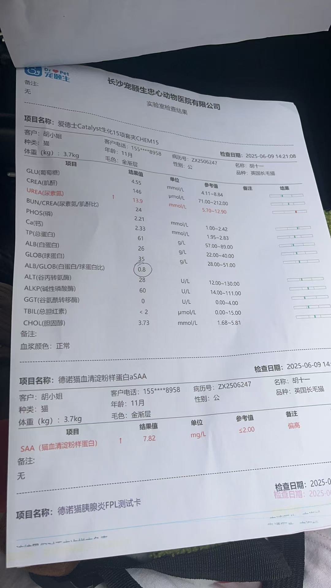 症状描述图片