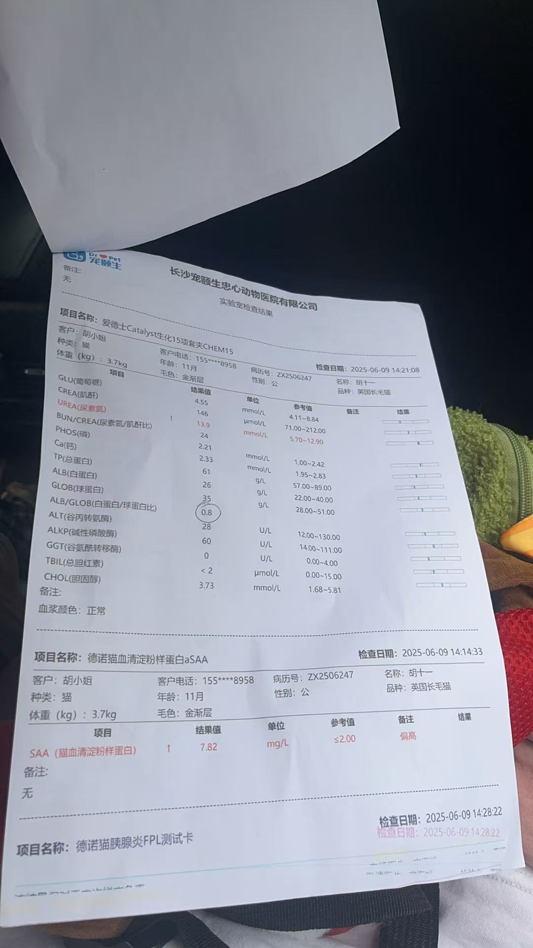 症状描述图片