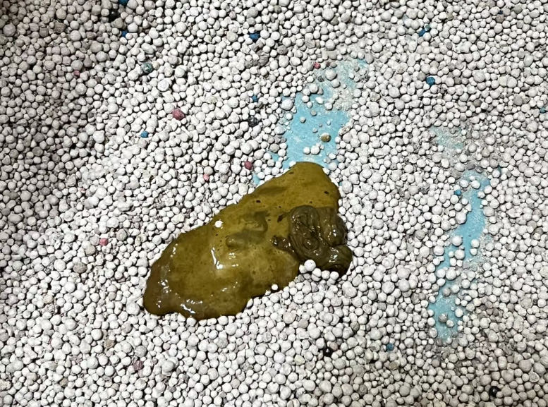 症状描述图片