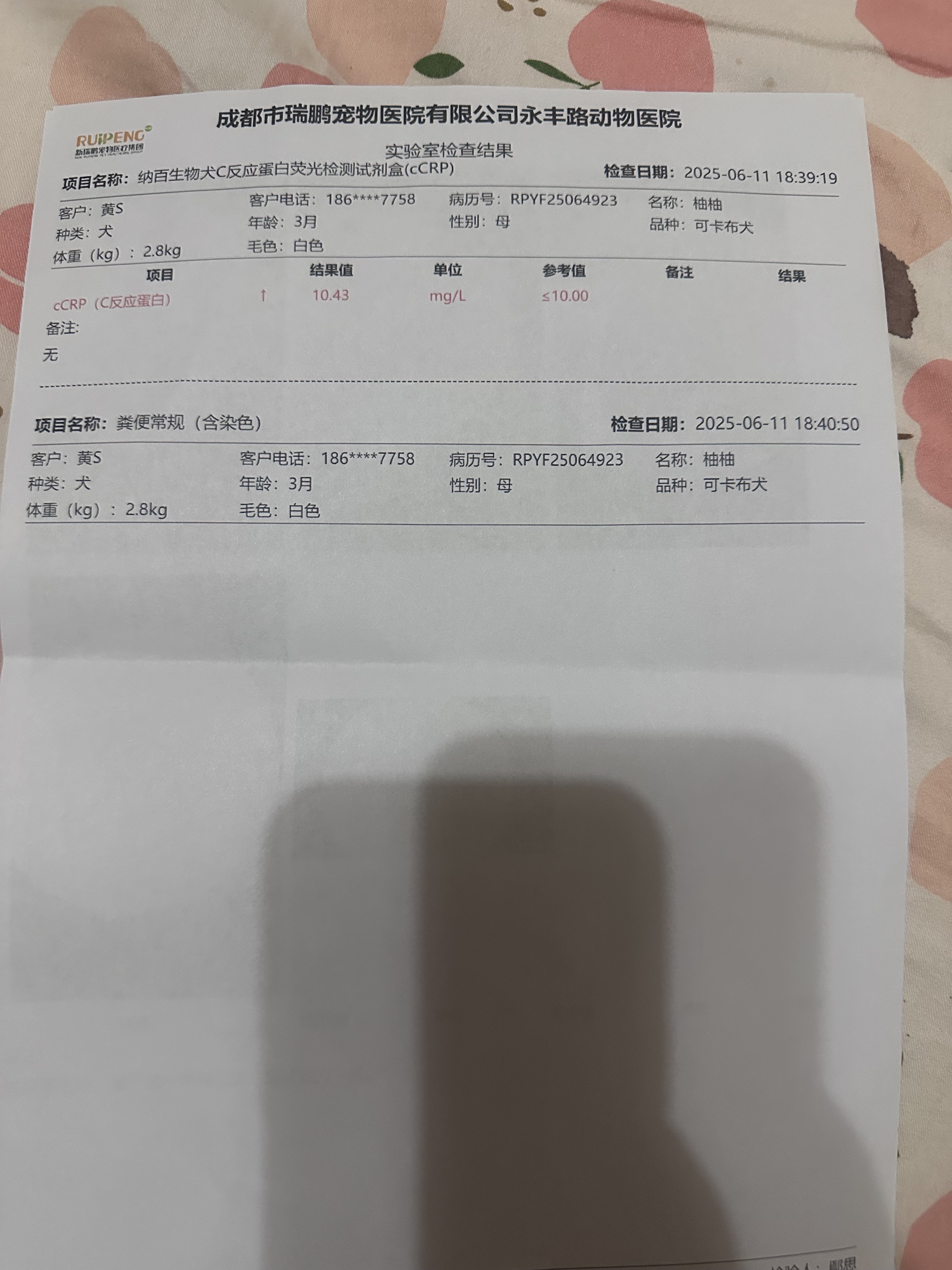 症状描述图片