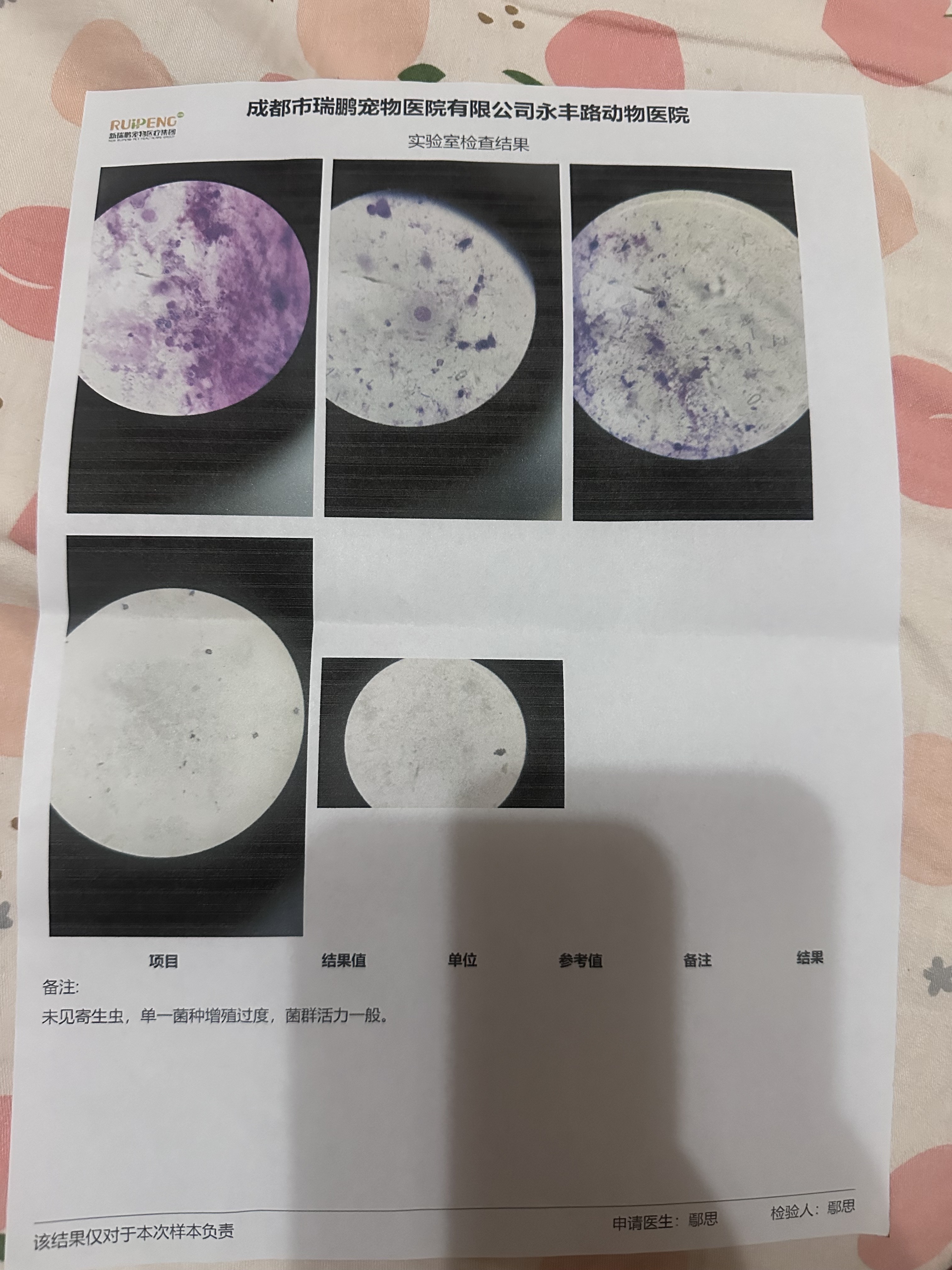 症状描述图片