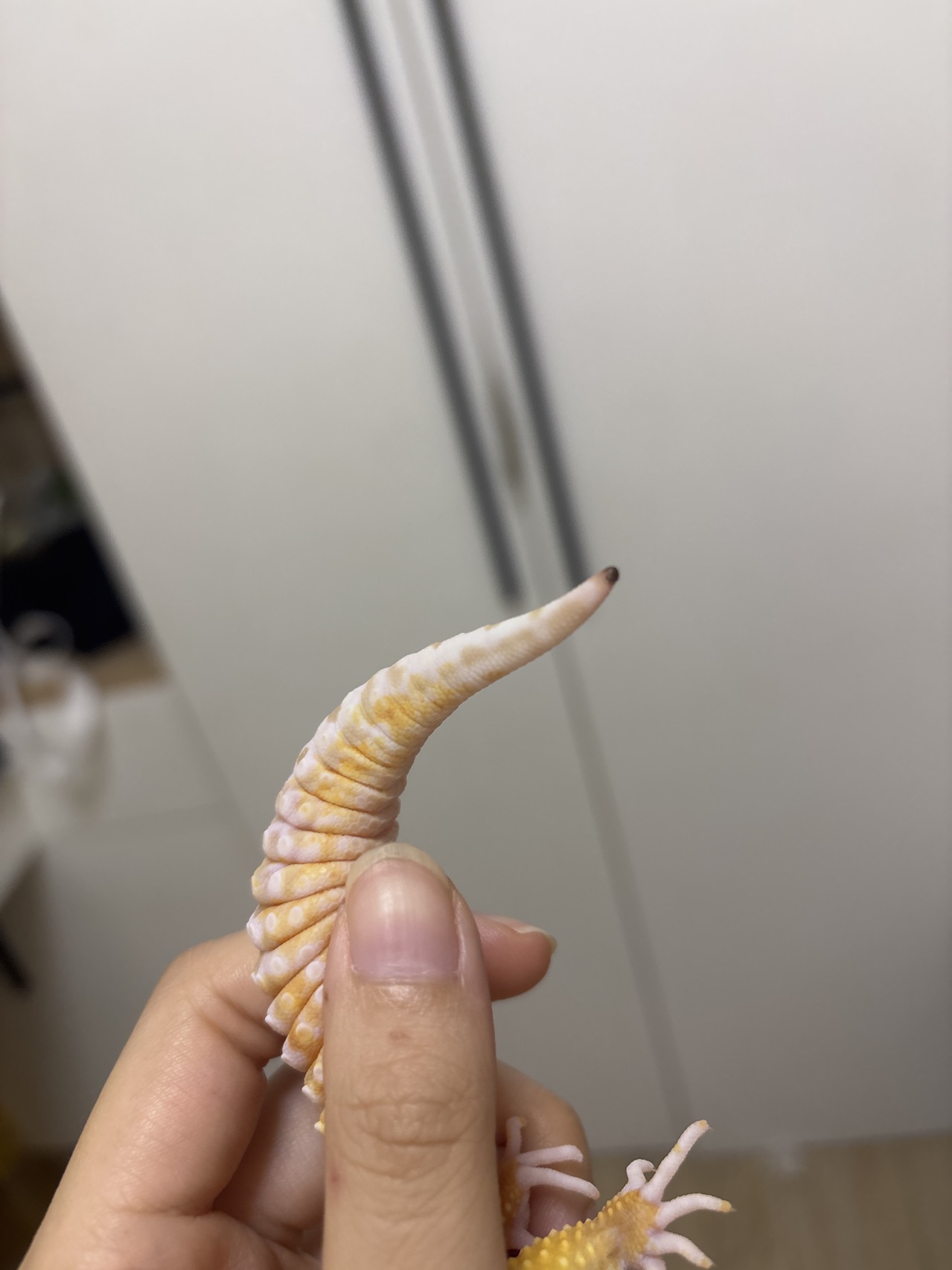 症状描述图片