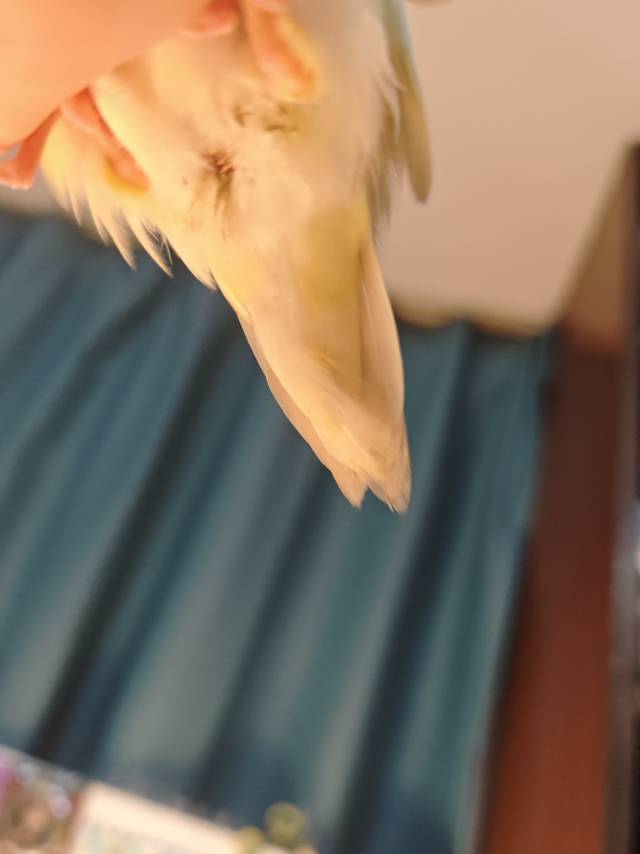 症状描述图片
