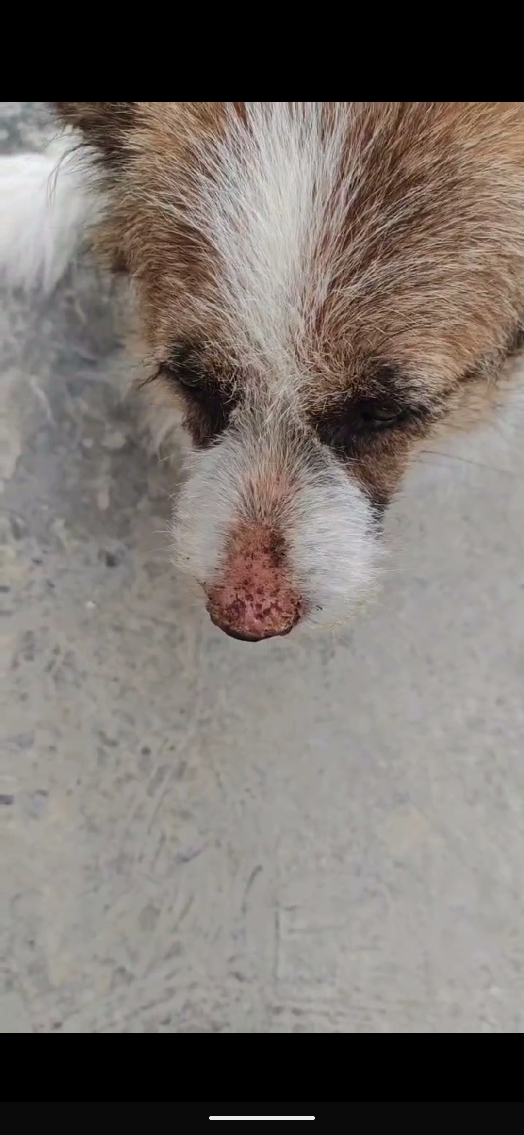 症状描述图片