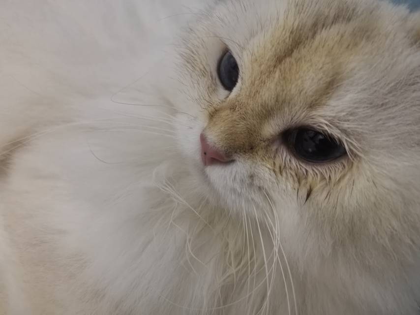 症状描述图片