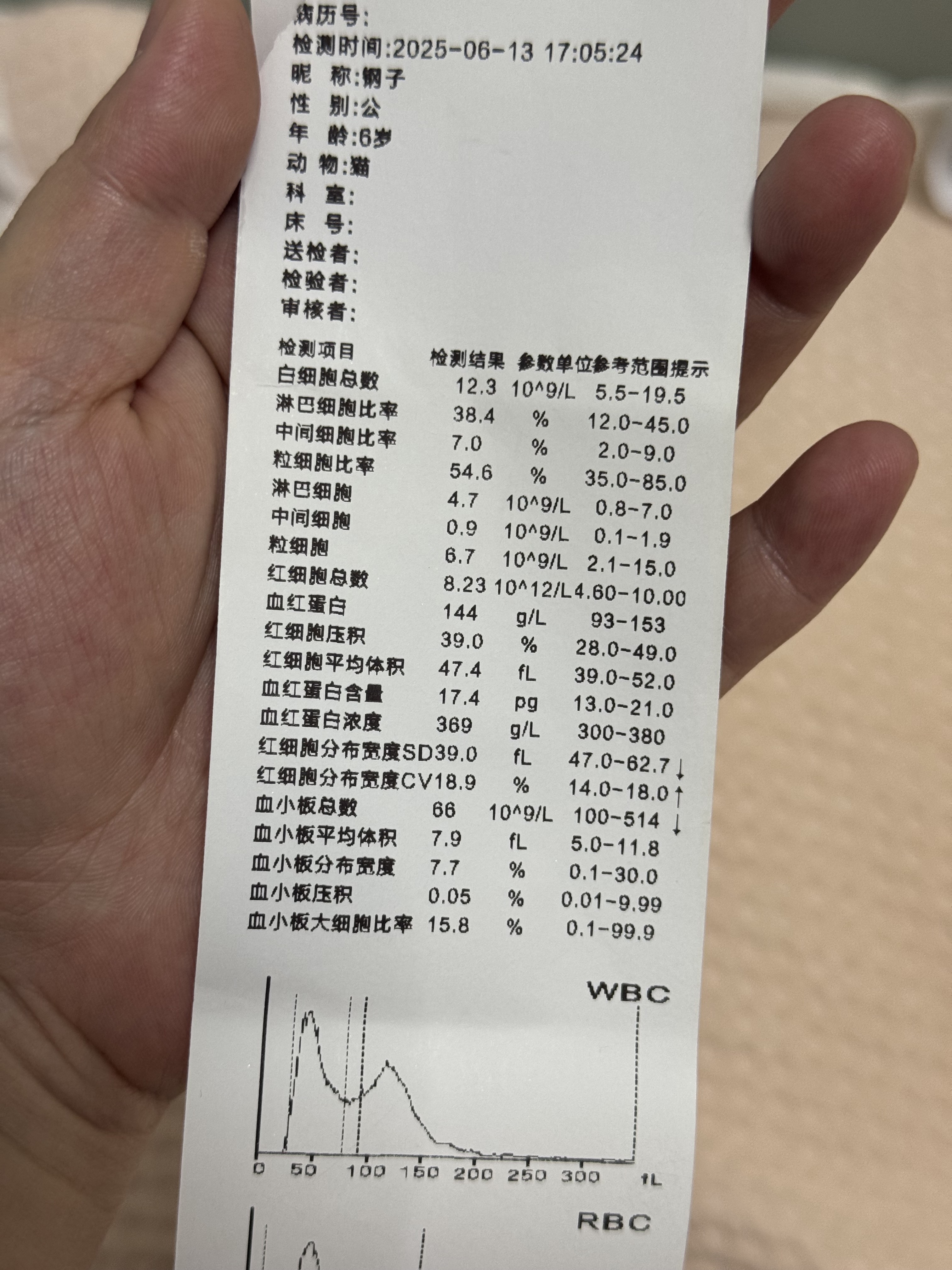 症状描述图片