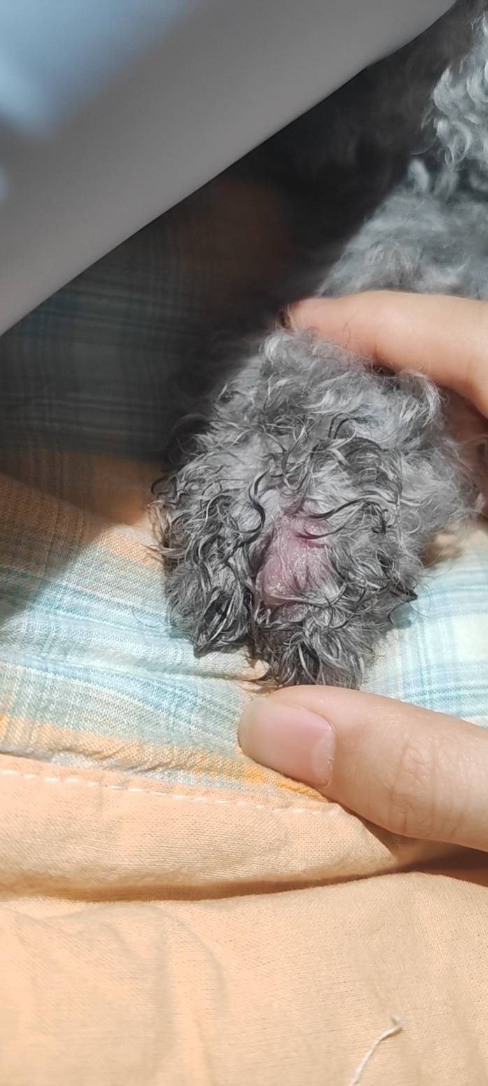 症状描述图片